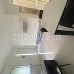 Rent 3 bedroom apartment of 70 m² in Camaiore