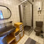 Miete 1 Schlafzimmer wohnung von 45 m² in Frankfurt am Main