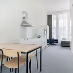 Rent 1 bedroom apartment of 38 m² in Amersfoort