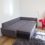 Rent 1 bedroom apartment in Dublin