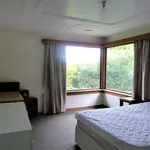 Rent 3 bedroom house in Dunedin