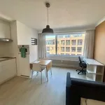 Rent 1 bedroom apartment in Leuven