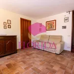 Rent 2 bedroom apartment of 50 m² in Ardea