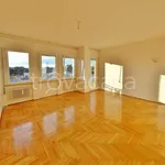 Rent 7 bedroom apartment of 120 m² in Treviso