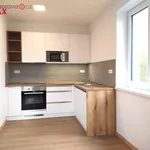 Rent 2 bedroom apartment in Vizovice