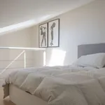 Rent 1 bedroom apartment in madrid