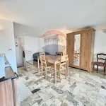 Rent 1 bedroom apartment of 23 m² in Firenze