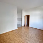 Rent 2 bedroom apartment of 43 m² in Chemnitz