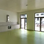 Rent 2 bedroom apartment of 46 m² in Graz