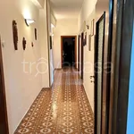 Rent 4 bedroom apartment of 130 m² in Casoria