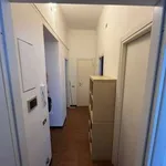 Rent 2 bedroom apartment of 60 m² in Milan