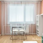 Rent 1 bedroom apartment in Prague