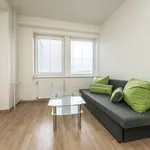 Rent 1 bedroom apartment in Capital City of Prague