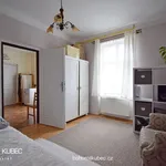 Rent 1 bedroom apartment of 40 m² in Tábor