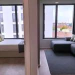 Rent 1 bedroom apartment in porto