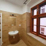 Rent 1 bedroom apartment of 33 m² in Olomouc