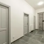 Rent 3 bedroom apartment of 70 m² in Capital City of Prague