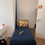 Rent a room in trento