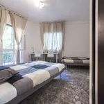 Rent a room in milan