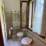 Rent 1 bedroom apartment of 40 m² in Monselice