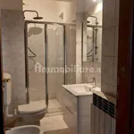 Rent 3 bedroom apartment of 75 m² in Turin