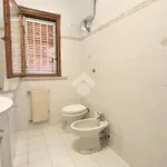 Rent 3 bedroom apartment of 65 m² in Anzio