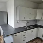 Rent 3 bedroom apartment of 66 m² in Ústí nad Labem