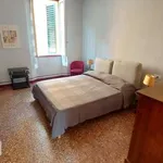 Rent 3 bedroom apartment of 65 m² in Bologna