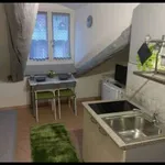 Rent 1 bedroom apartment of 20 m² in Torino