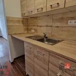 Rent 1 bedroom apartment of 27 m² in Litvínov