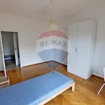 Rent 4 bedroom apartment of 100 m² in Turin