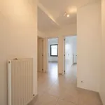 Rent 2 bedroom apartment in Lint