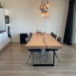 Rent 1 bedroom apartment of 90 m² in tilburg