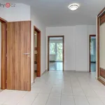 Rent 4 bedroom apartment of 120 m² in Brno