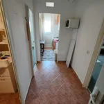 Rent 1 bedroom apartment in Pécs