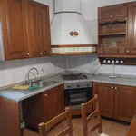 Rent 4 bedroom apartment of 60 m² in Ferrara