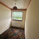 Rent 3 bedroom flat in East Midlands