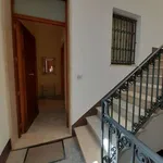 Rent 2 bedroom apartment of 40 m² in Trapani