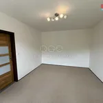 Rent 1 bedroom apartment in Děčín