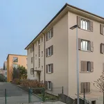 Rent 1 bedroom apartment of 13 m² in Neuchâtel