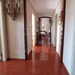 Rent 4 bedroom apartment of 110 m² in Alassio