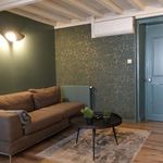 Rent 2 bedroom apartment of 41 m² in Vienne