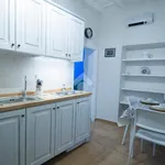 Rent 1 bedroom apartment of 50 m² in Roma