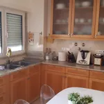 Rent 6 bedroom house of 354 m² in Lisboa