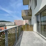 Rent 2 bedroom apartment in Brno