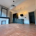 Rent 2 bedroom apartment of 37 m² in toulouse