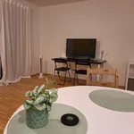 Rent 2 bedroom apartment of 60 m² in Wien