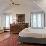 Rent 1 bedroom apartment of 45 m² in Firenze