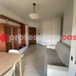 2-room flat via dei Cappuccini, Carraia - Torricelli, Empoli