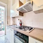 Rent 3 bedroom apartment of 75 m² in Milano